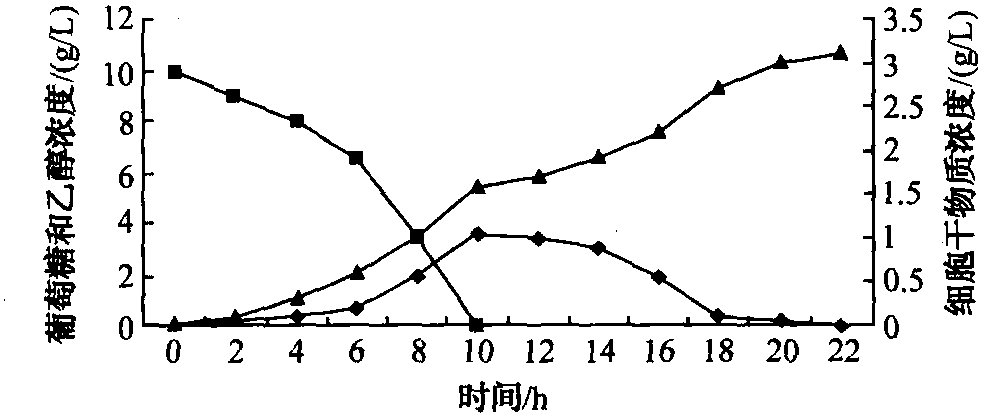 第二節(jié) 間歇培養(yǎng)